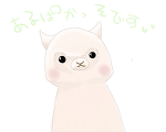 アルパカイラスト1