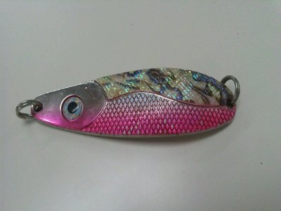 ＜ルアー＞　このルアーは片面が鮑っぽい感じになっていて連れそうに思ったんですがウントモスンともいいませんでした