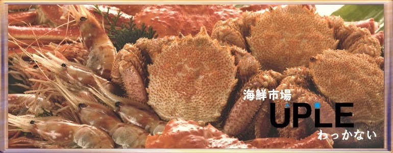 トップイメージ