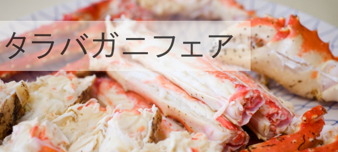 �A�X�p���t�F�A