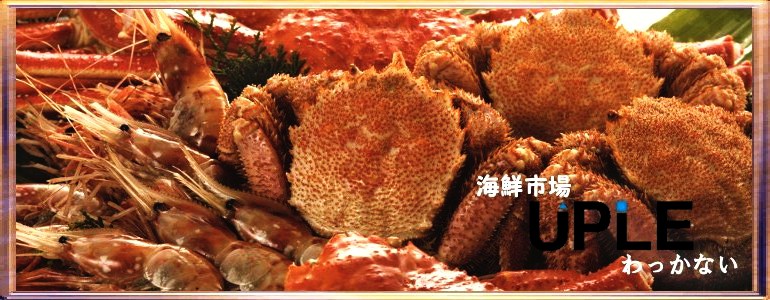 トップイメージ