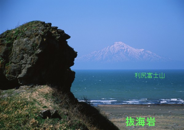 抜海岩