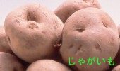 じゃがいも