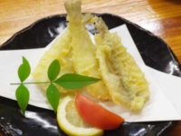���g�̓V�Ղ�