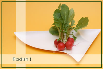 ラデッシュ
