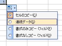 オートフィルオプション2