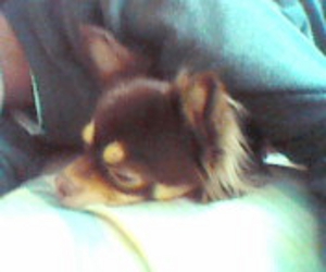 �ꏏ�ɐQ�Ă��܂��B