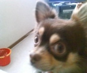 �Â��Ă����܂����킢���B