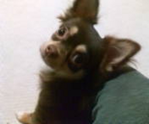 �U��������u�Ԃɂς����B