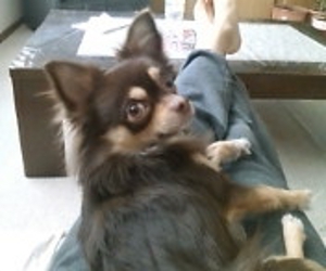 ����͎��̑������̏オ�D���B(��)